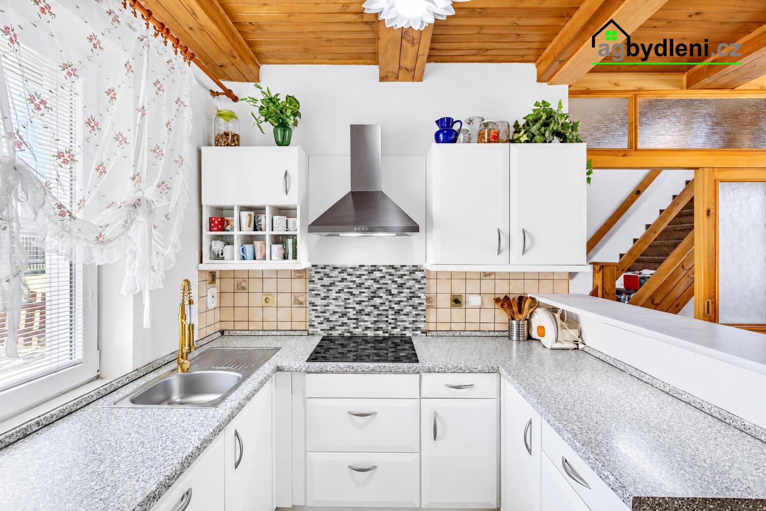 RODINNÝ DŮM 282 m² | POZEMEK 1 117 m² | HORŠOVSKÝ TÝN