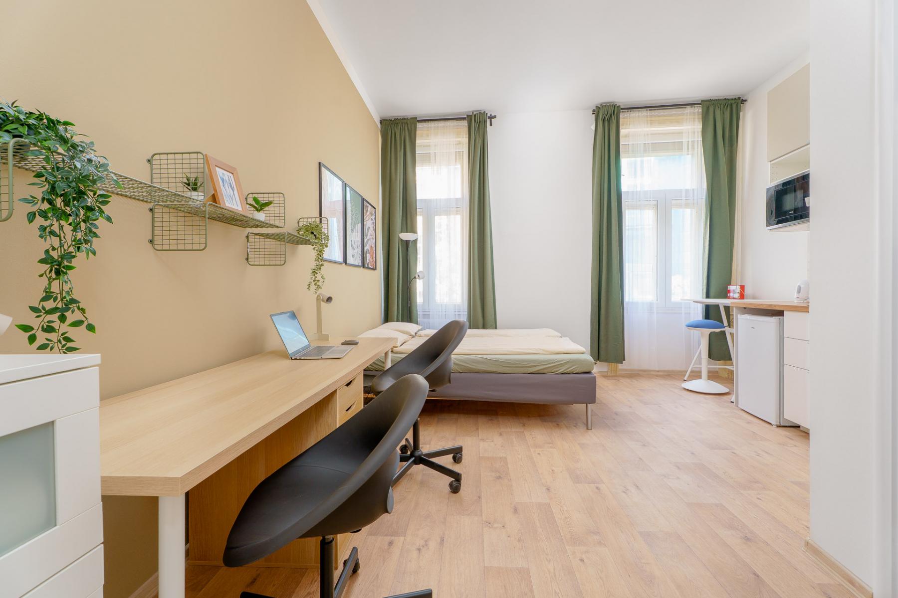 Pronájem bytu 1+kk, 31 m², Praha 2 Nové Město